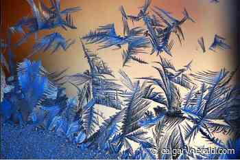 Frost advisory issued for Calgary - Calgary Herald