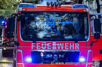 Reichenbach: Dach eines Einfamilienhauses fängt Feuer - esslinger-zeitung.de