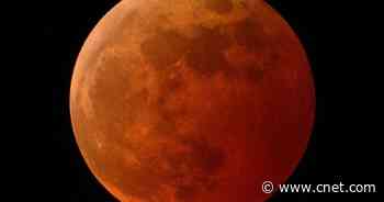 Total lunar eclipse: How to watch super flower blood supermoon this week     - CNET