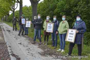 Buurtbewoners vrezen onherstelbare schade aan iconische bomenrij: “Dit mooie levend erfgoed moet dezelfde aandacht krijgen als andere monumenten”