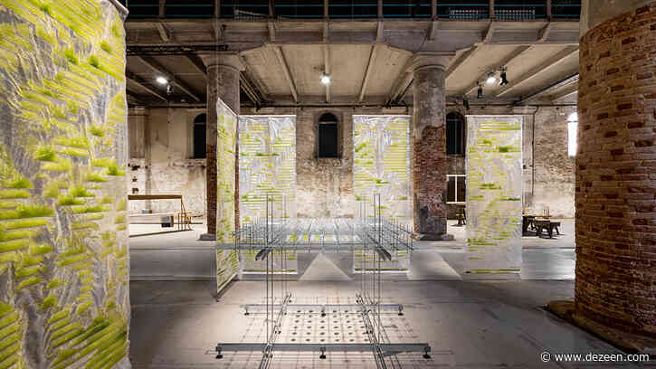Bit.Bio.Bot exhibition shows how algae can be used as air purifiers and protein source