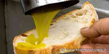 Le linee guida del cambiamento della professione di frantoiano: chi sta fermo, muore - Teatro Naturale