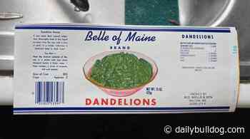 Belle Creative Arts Center plants roots in former cannery – Daily Bulldog - Daily Bulldog