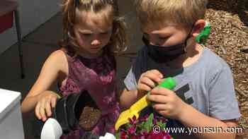 Venice area photo album | Arts Entertainment | yoursun.com - yoursun.com