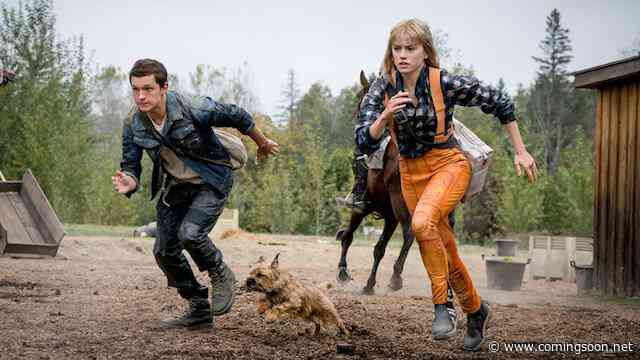 Chaos Walking Blu-ray Giveaway: Film Stars Daisy Ridley & Tom Holland