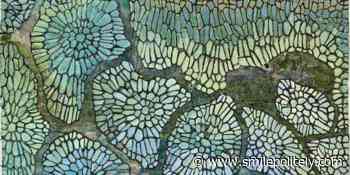 Five artists you should be following on Instagram : Arts - Smile Politely - Champaign-Urbana's Online Magazine