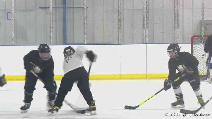 Local Teens Raises Money And Awareness For Brain Health With Hockey Game