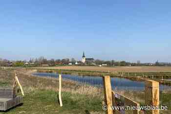 Hondenlosloopweide in Kessenich