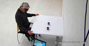 Blind Man's Sight Partially Restored with 'Optogenetics' Gene Therapy