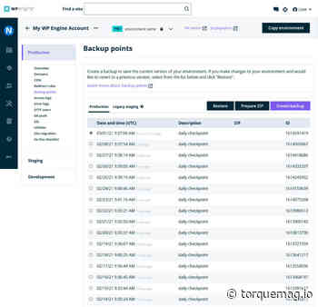WordPress Managed Hosting vs Unmanaged: 11 Key Differences