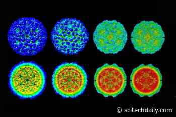 Virus Infection Cycle Revealed in Incredible Dynamic Detail