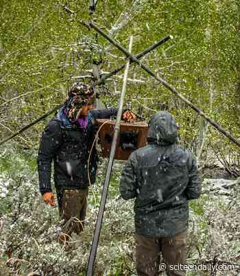 Creating a Phantom River: Experimental Broadcast of Whitewater River Noise Drives Bats and Birds Away