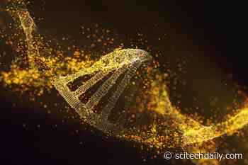 Cancer Treatments May Accelerate Cellular Aging – DNA Changes Associated With Greater Inflammation and Fatigue