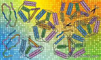 Lighting the Way to Folding Next-Level Origami: Transforming Proteins Into Custom-Made Structures