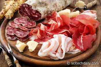 Scientists Find Link Between Eating Processed Meat and Cardiovascular Disease and Death