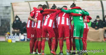 Matelica-Renate, tamponi negativi dopo le 4 positività: all'Helvia Recina si gioca - Padova Goal