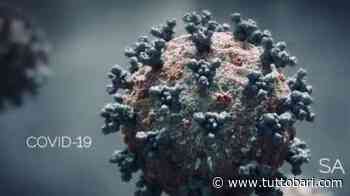 Matelica, emerse diverse positività al Covid-19 - BARI CALCIO