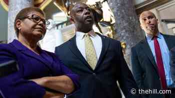 Top negotiators report progress on police reform: 'We remain optimistic'