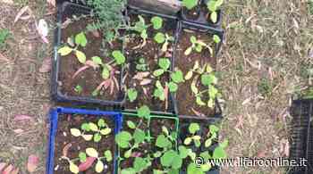 Ardea, al parco Rielasingen una giornata dedicata all'educazione ambientale - Il Faro online