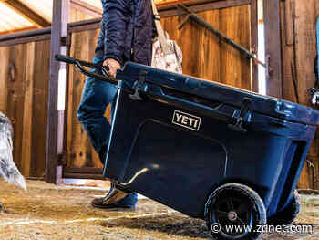 Best cooler in 2021: Keep everything icy cold