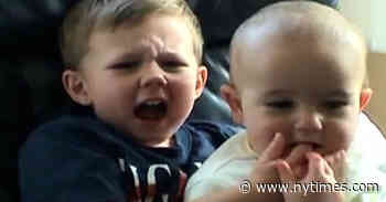 'Charlie Bit My Finger' to Leave YouTube After NFT Sale