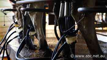 This agricultural industry built a strategic plan, but what's to show for it?