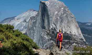 Can YOU survive the wilderness? The average American believes they can spend 16 days alone