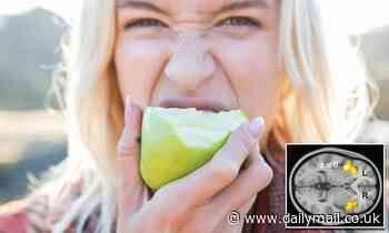 A 'supersensitized' brain connection may be why you hate the sound of loud chewing, study finds