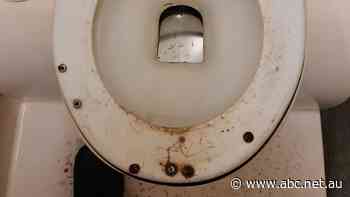 Could the 'rusty, damaged chemical toilets' be driving these workers off their job?