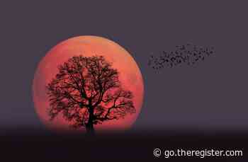 When and where to see the Super Blood Moon in a total lunar eclipse this week