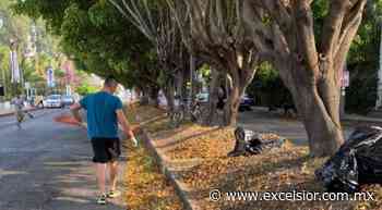 'Cuernavaca Ciudadano' esfuerzo por mejora de servicios municipales: Nesib Inayeh - Periódico Excélsior