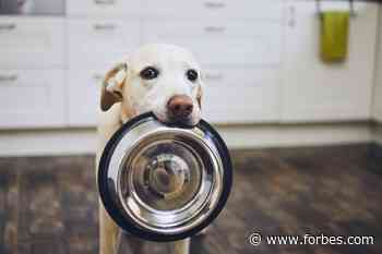 Cultured Meat Companies Want To Transform The Pet Food Industry - Forbes