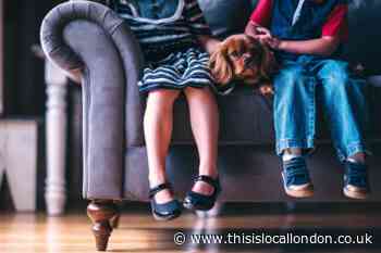 Concern over children catching new Covid strain from pet dogs