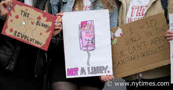 Anita Diamant Continues the Fight for Menstrual Justice