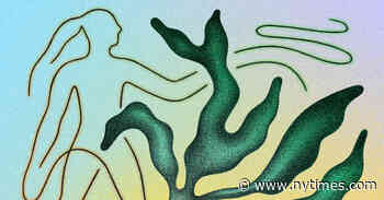 A Novel Explores Power, Sex, Consent and Identity on a French Commune