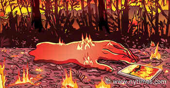 Book Review: ‘The Living Sea of Waking Dreams,’ by Richard Flanagan