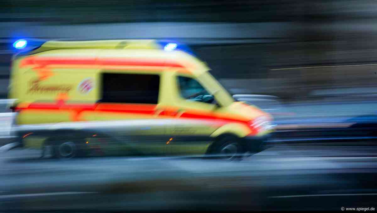 Tarmstedt: Rottweiler verletzt spielendes Kind durch mehrere Bisse