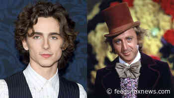 Timothée Chalamet to play young Willy Wonka in Warner Bros. movie
