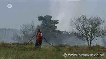 Vandaag exact 10 jaar geleden grootste brand ooit in de Kalmthoutse Heide