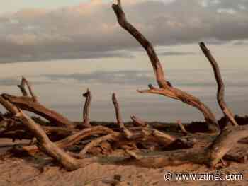 Iranian hacking group Agrius pretends to encrypt files for a ransom, destroys them instead