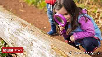 'Miss, what's a duck?' Schools tackle nature-deprived kids