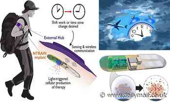 Health: Implantable 'living pharmacy' will halve jet lag recovery time
