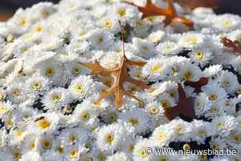 Gewezen burgemeester overleden
