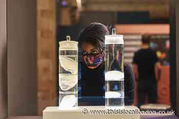 Natural History Museum's terrifying look at human impact
