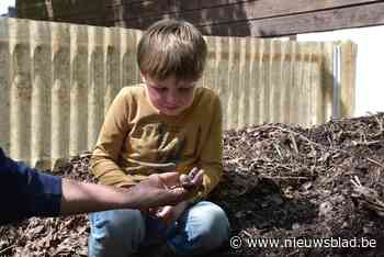 Honderden zeldzame neushoornkevers in Blaubergse mesthoop