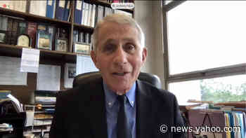 Fauci defends cooperation with Chinese lab to study coronavirus origins - Yahoo News