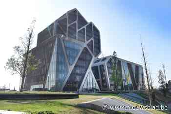 Internering voor Lommelaar na verkrachting petekind (Lommel) - Het Nieuwsblad