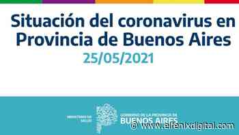 Sociales. Situación de Coronavirus en Provincia de Buenos Aires - El Fenix Digital