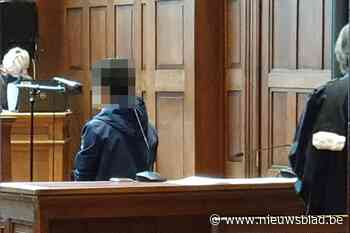 Twintigers voor rechter na verkrachting van vijftienjarig meisje met beperking