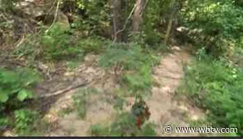 NC Forest Service warns of fire danger - WBTV